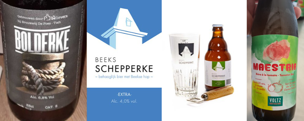 Bolderke, Beeks Schepperke, Beeks Schepperke Extra, Maestria